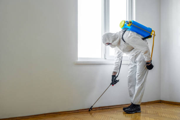 Best Residential Pest Control  in Brockport, NY